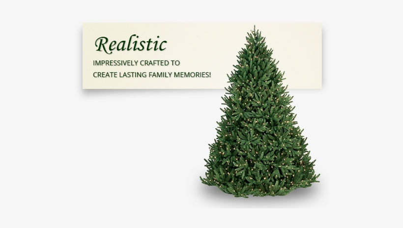 Traditional Spruce Trees Of Christmas Past And Plenty - Best Artificial Hunter Fir Christmas Trees, transparent png download