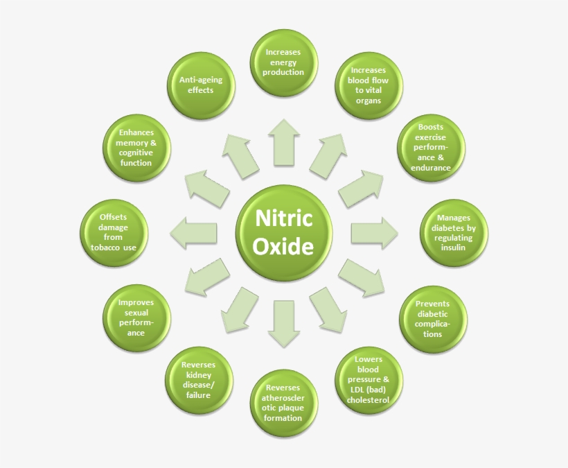 Benefits Of Nitric Oxide Nitric Oxide Benefits PNG Image