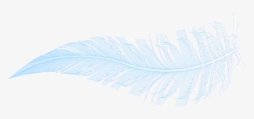 Graphic Illustration Of A Feather - Illustration, transparent png download