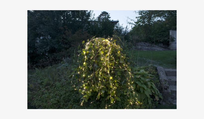 Cluster Lights Dew Drop Outdoor - Light-emitting Diode, transparent png download