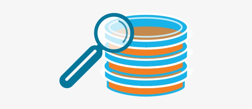 Cellbio - Biology, transparent png download