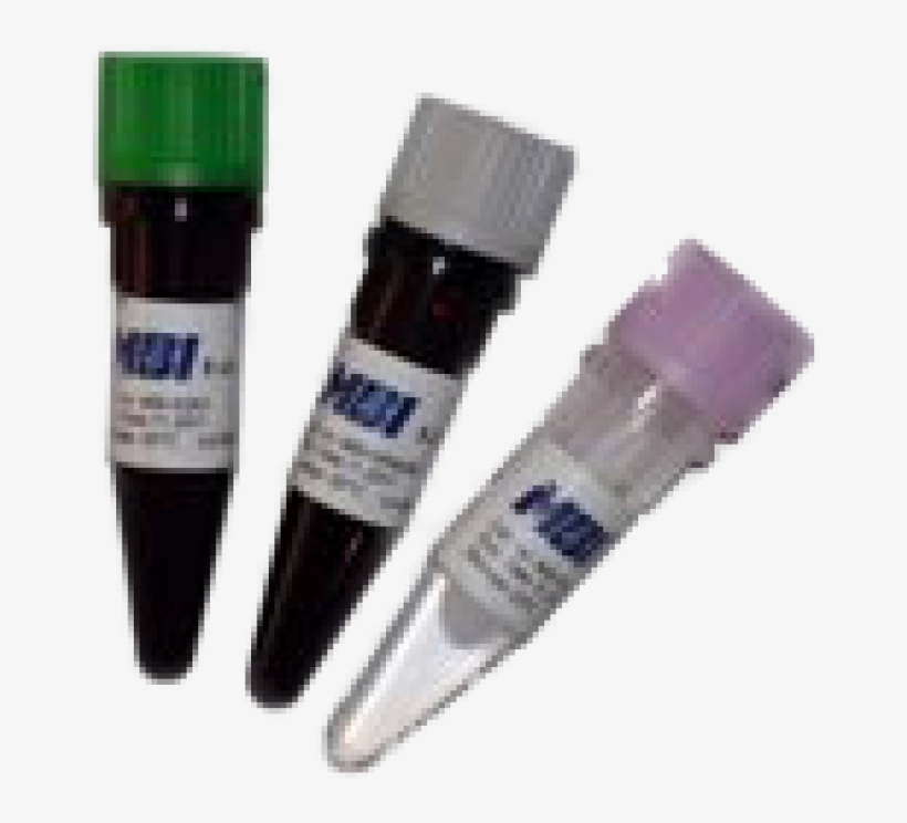 More Views - Lip Gloss, transparent png download