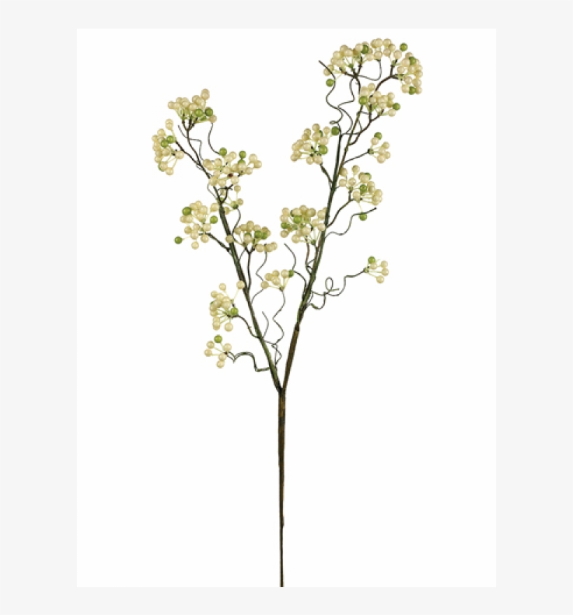 24" Eva Berry Spray Cream Green - Silk Plants Direct Berry Spray - Cream Green - Pack, transparent png download