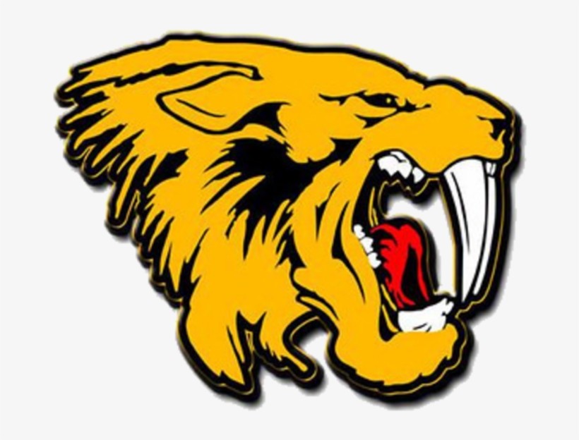 Three Scottsdale Football Players Hospitalized After - Saguaro High School Logo, transparent png download