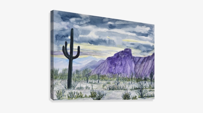 Lone Saguaro Canvas Print - Cactus, transparent png download
