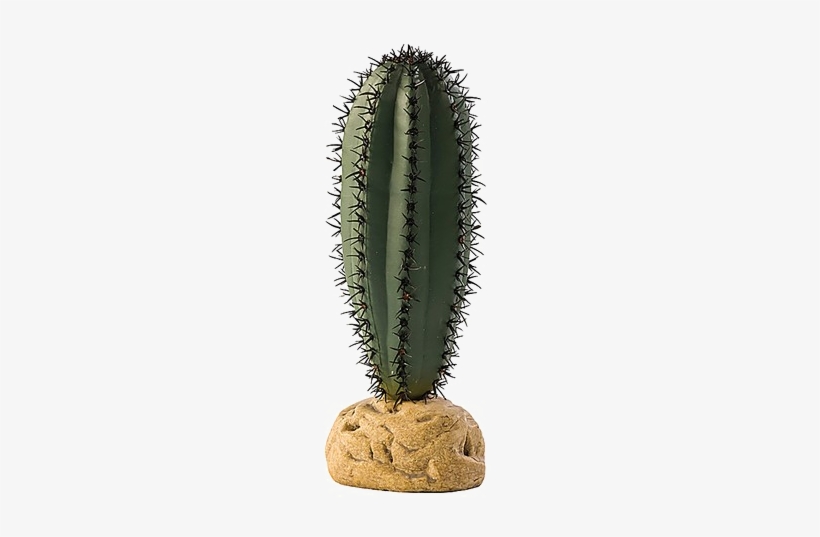 Saguaro Cactus Png High-quality Image - Cactus In Pot Png, transparent png download