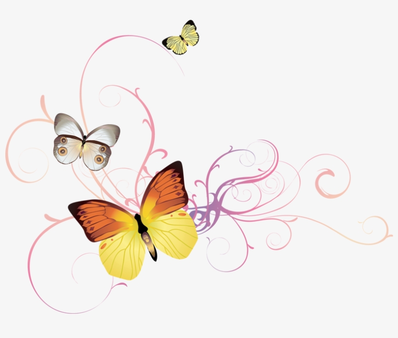 Floral Butterfly Hd Pics Png, transparent png download