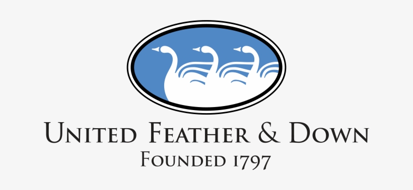 800 Fill Grey Goose Down - United Feather & Down Inc., transparent png download