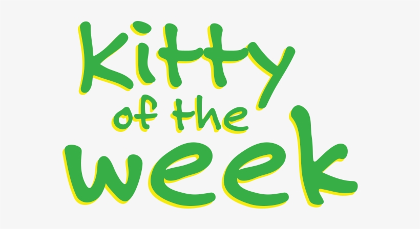 'jojo' From The Bide Awhile Shelter - Stop Aids Keep The Promise, transparent png download