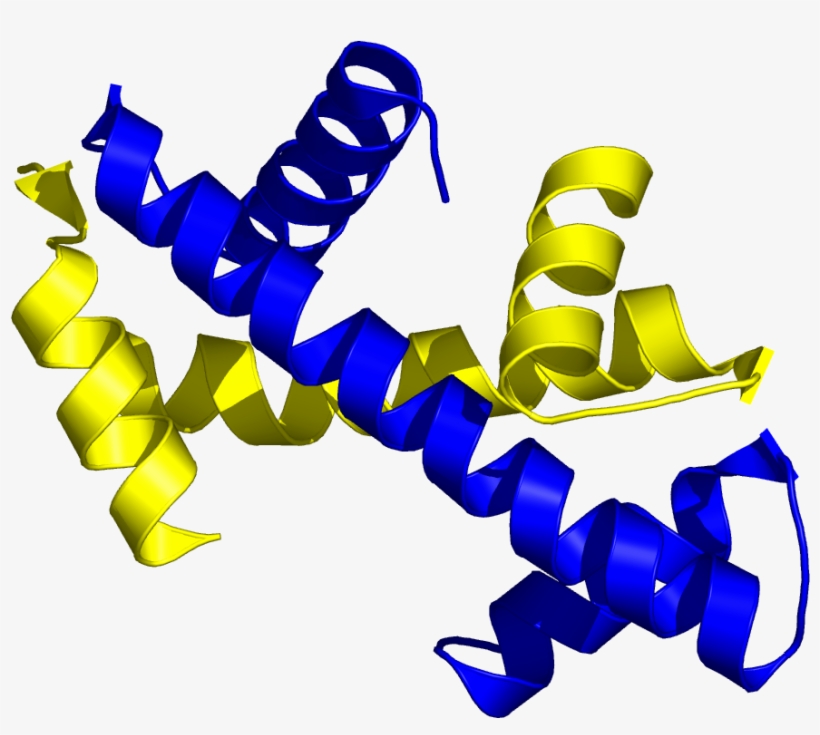 Histone Handshake - Histone Handshake Motif, transparent png download
