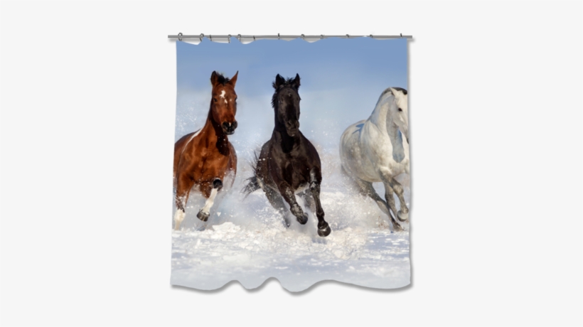 Horse Herd Collection Shower Curtain Shower Curtains- - Horse, transparent png download