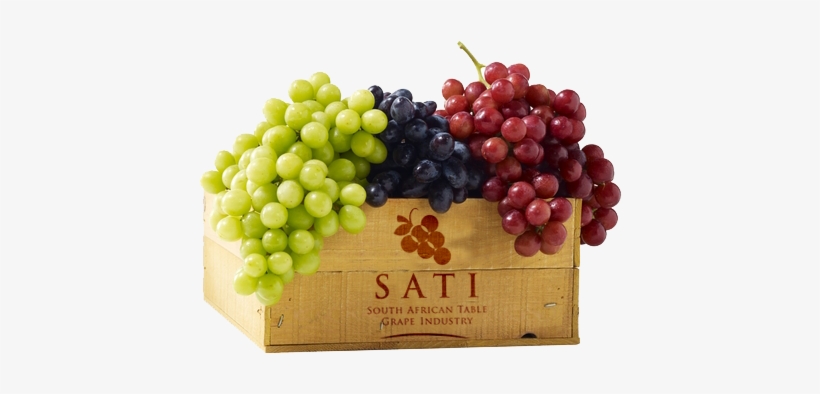 Grapes In California, transparent png download