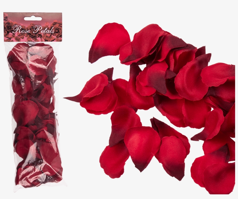 Petal, transparent png download