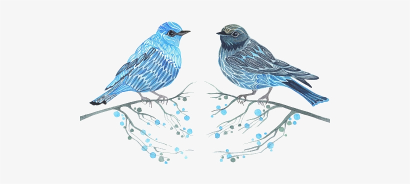 Watercolour Bird And Cage X Pink Floral Hummingbird - Blue Birds Couple, transparent png download