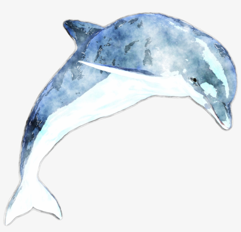 Watercolor Dolphin By Lavandalu On Deviantart - Zazzle Adorable Dolphin -personalised Passport Holder, transparent png download