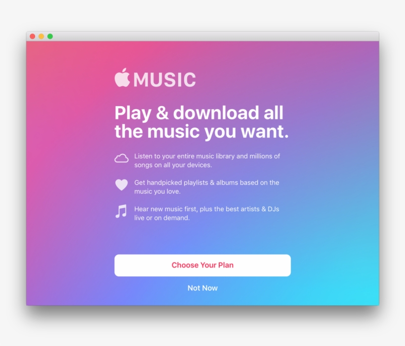 Matt Wright On Twitter - Student, transparent png download