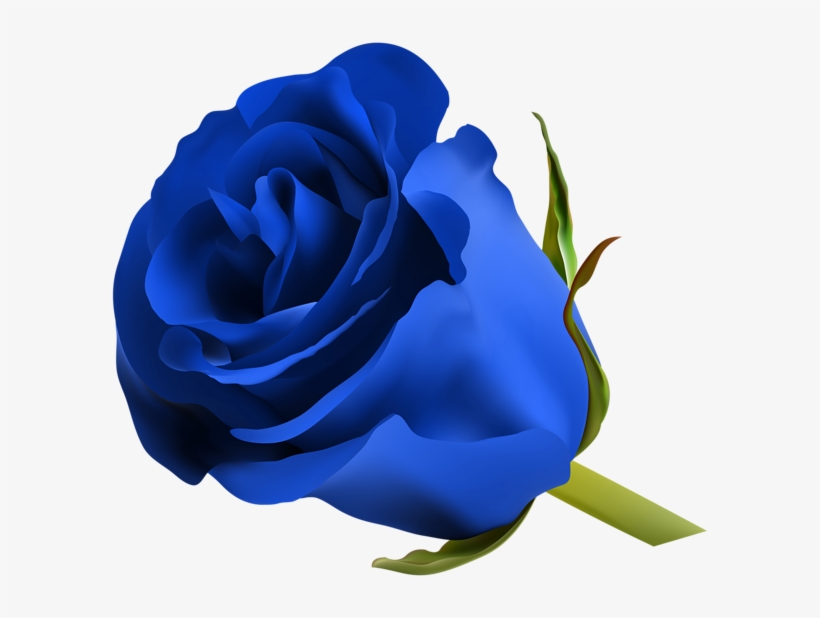 Pink Rose Png, Purple Roses, Make Pictures, Favorite - Blue Rose Png, transparent png download