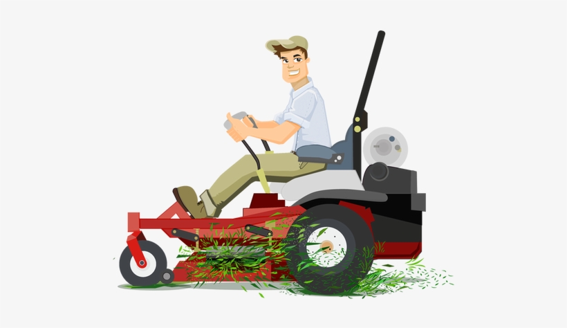 Enjoy A Beautiful, Lush & Green Garden Like Lawn With - Lawn, transparent png download