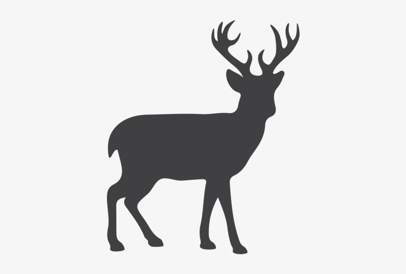 Black And White Deer Png, transparent png download