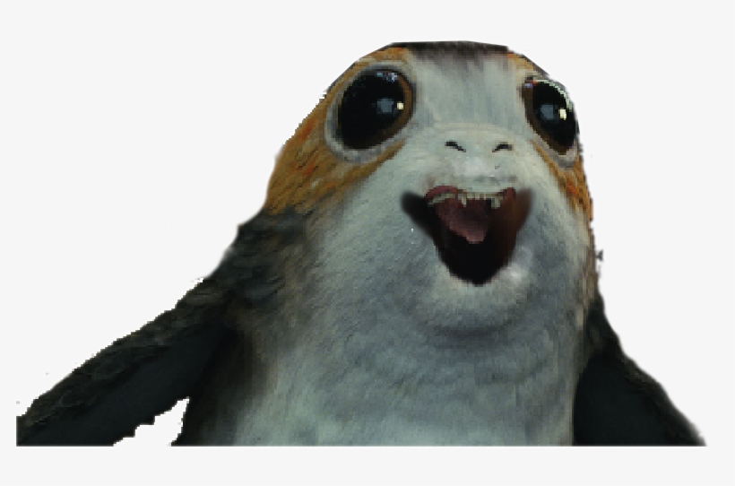 Post - Three-toed Sloth, transparent png download