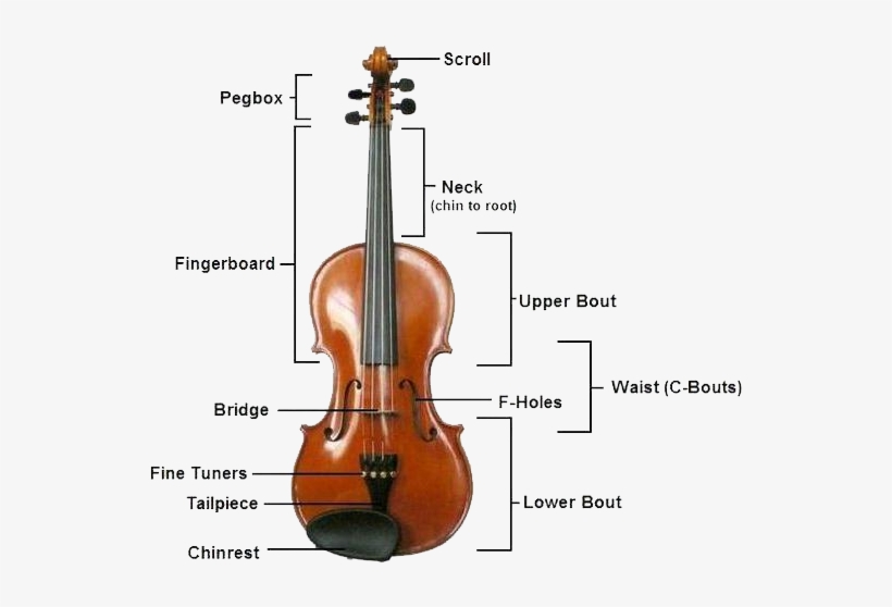 Parts Of The Violin - Fingerboard On A Violin, transparent png download