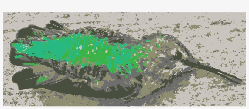 Hummingbird Death Computer Icons Tree Painting - Icon, transparent png download