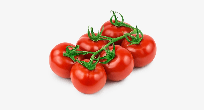 Vero Loose New Rev2 - Plum Tomato, transparent png download