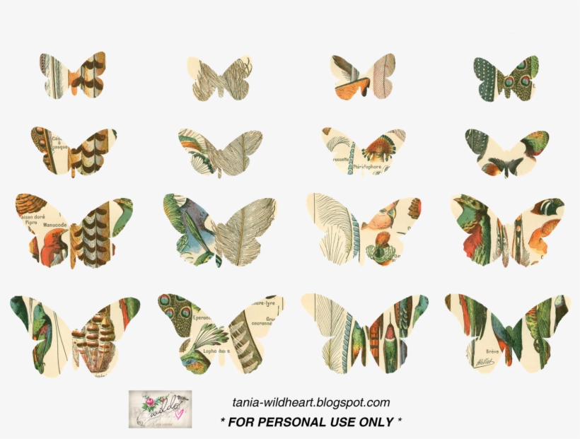 You Want To Print Them And Use In Scrapbooking Etc - Vanessa Cardui, transparent png download