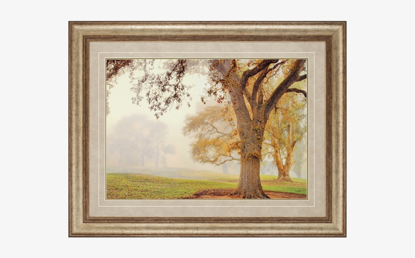 Oak Grove - Home Decorators Oak Grove Wall Art, transparent png download