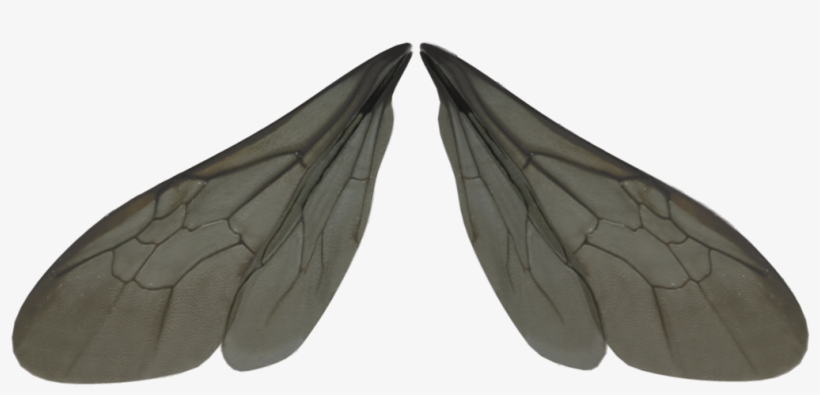 Insect Wings Clipart - Mosquito Wings Png, transparent png download