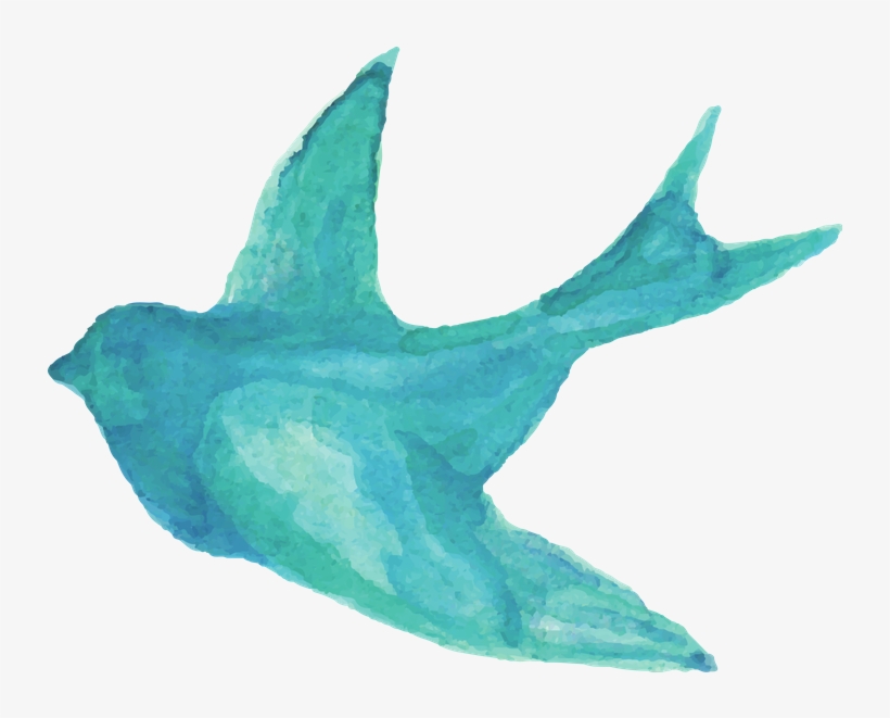 Experts With A Passion - Hummingbird, transparent png download