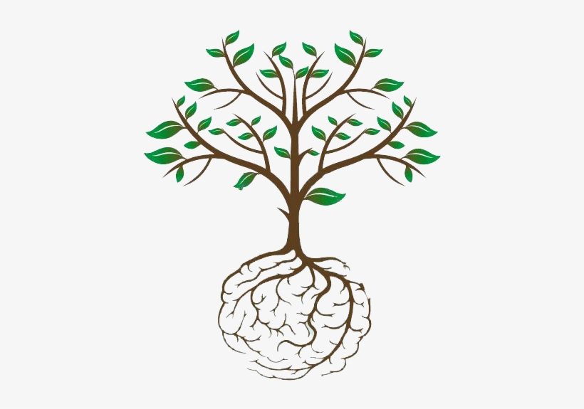 Stoller Australia On Twitter - Dr. Herb's Solutions To The Root Causes, transparent png download