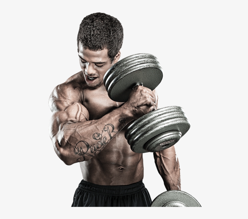 About1 - Gym Workout Imges Png, transparent png download