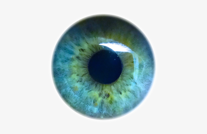 Eye Pupil Png Background Image - Hypnosis: How To Hypnotize Others Quickly And Efficiently, transparent png download