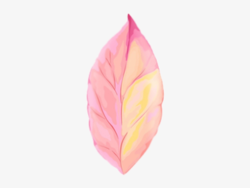 Cute Leaves Pastel Spring Png Overlay Edits Edit Kpoped - Maple, transparent png download