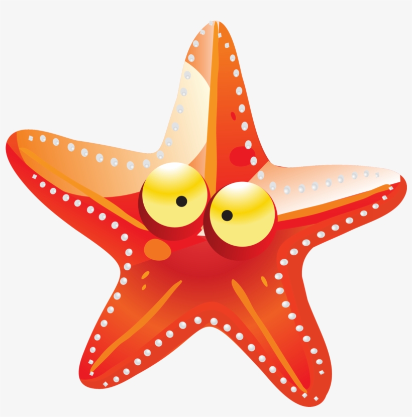 Cartoon Orange Transprent Png Banner Royalty Free Download - Estrela Do Mar Cute, transparent png download