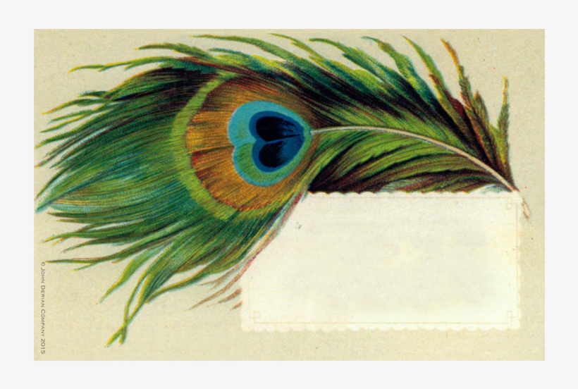 Peacock Feather Peacock Feather - Shrimad Bhagvat Geeta Png, transparent png download