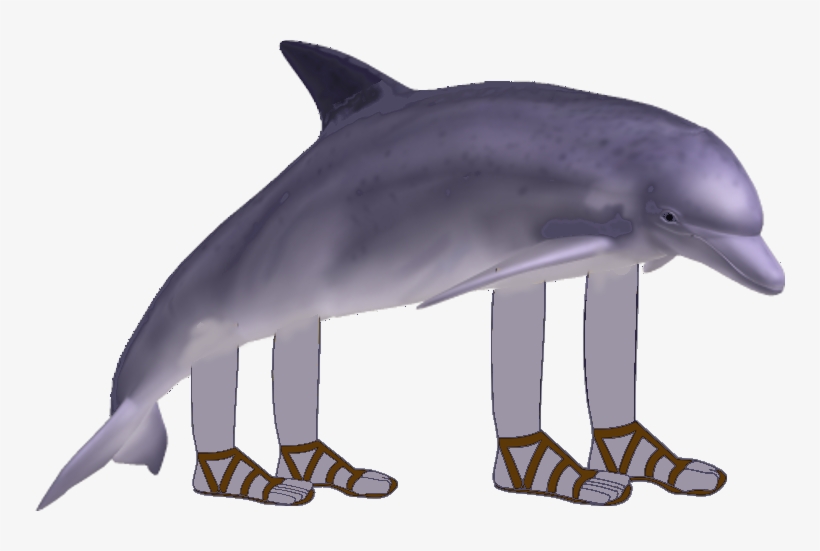 Dolphin With Arms And Legs PNG Image Transparent PNG Free Download on