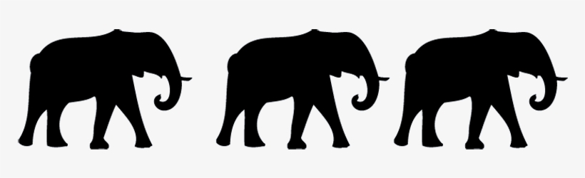 There Are 3 Elephants In The Room - 3 Elephants, transparent png download