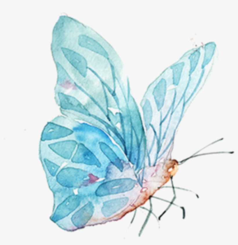 Watercolor Butterfly Png, transparent png download