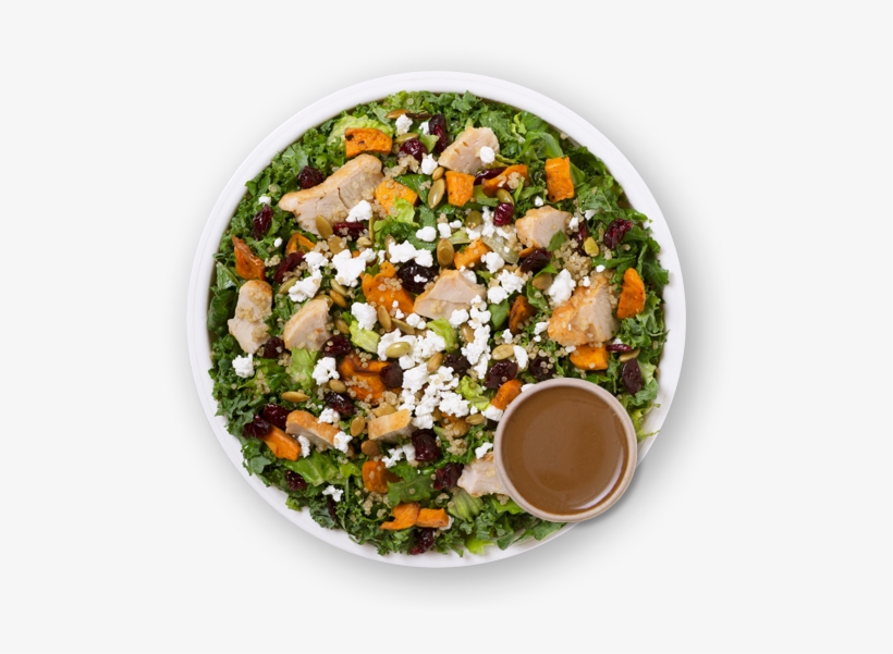 Choose From Any Of Our Taste-full Recipes - Pancreatic Cancer Action Network, transparent png download