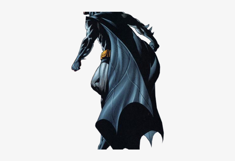 Catwoman Png Transparent Images - Batman Back Png, transparent png download