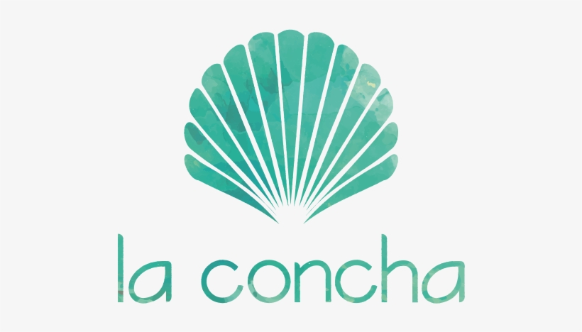 Minha Conta - Concha Png, transparent png download