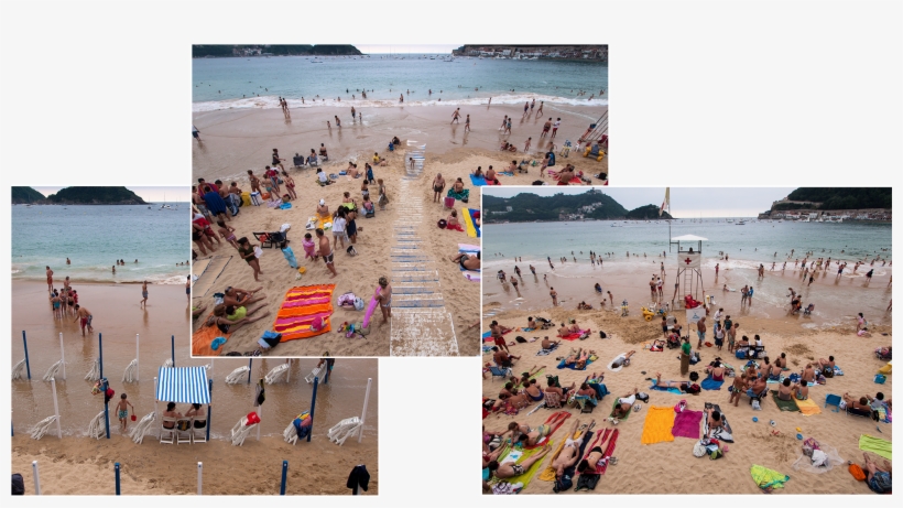 Concha, transparent png download