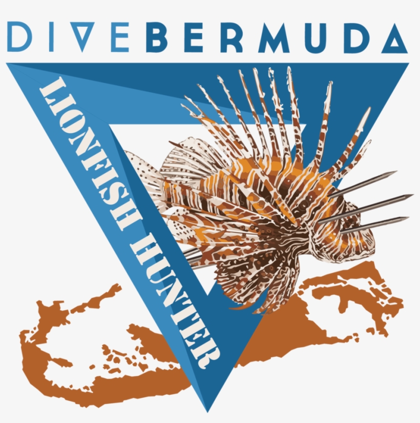 Learn To Hunt Lionfish Bermuda Dive Bermuda Grotto - Bermuda, transparent png download