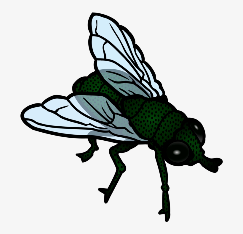 Insect Housefly Flight Download - Flies Clipart, transparent png download