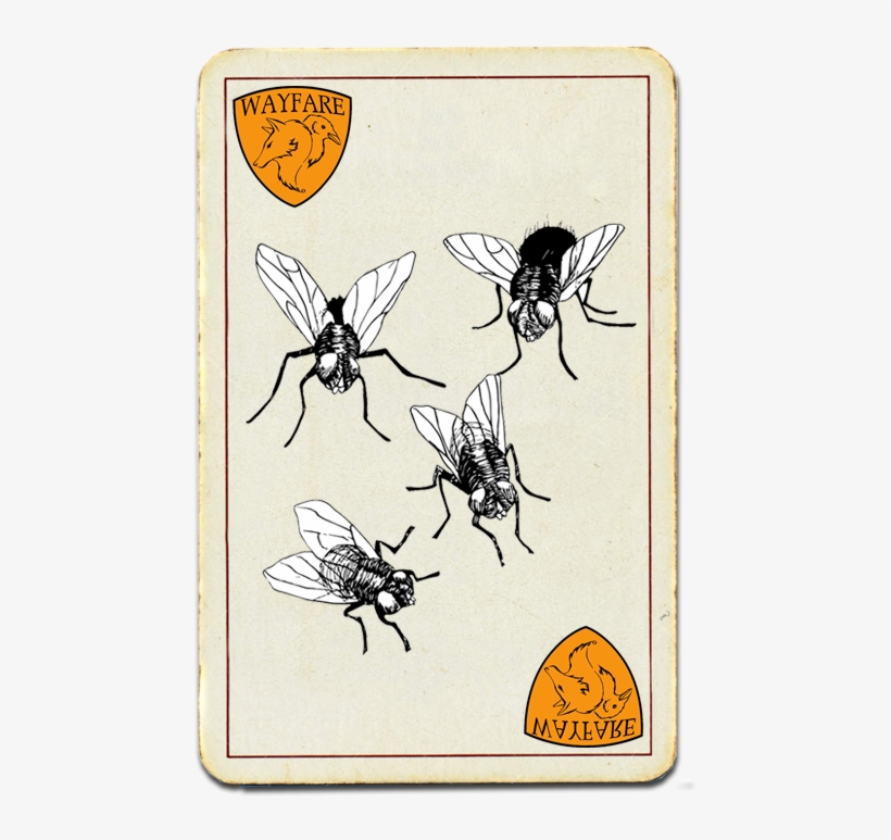 Wayfare Pest Solutions Most Wanted - Cartoon, transparent png download