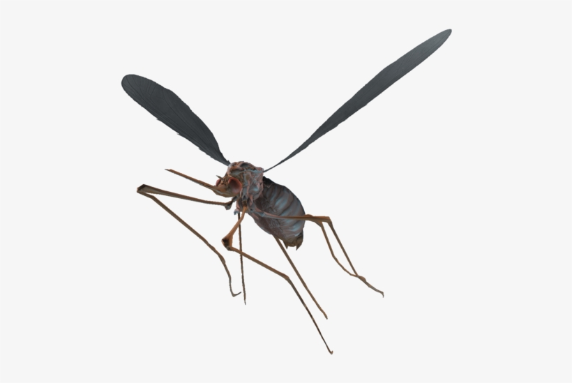 Bloodbug - Fallout 4 Insects, transparent png download