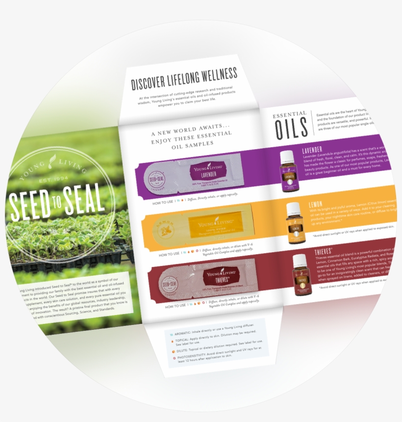 Young Living Essential Oils - Label, transparent png download