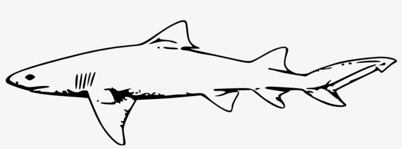 How To Set Use Lemon Shark Clipart - Shark Black And White Clipart, transparent png download